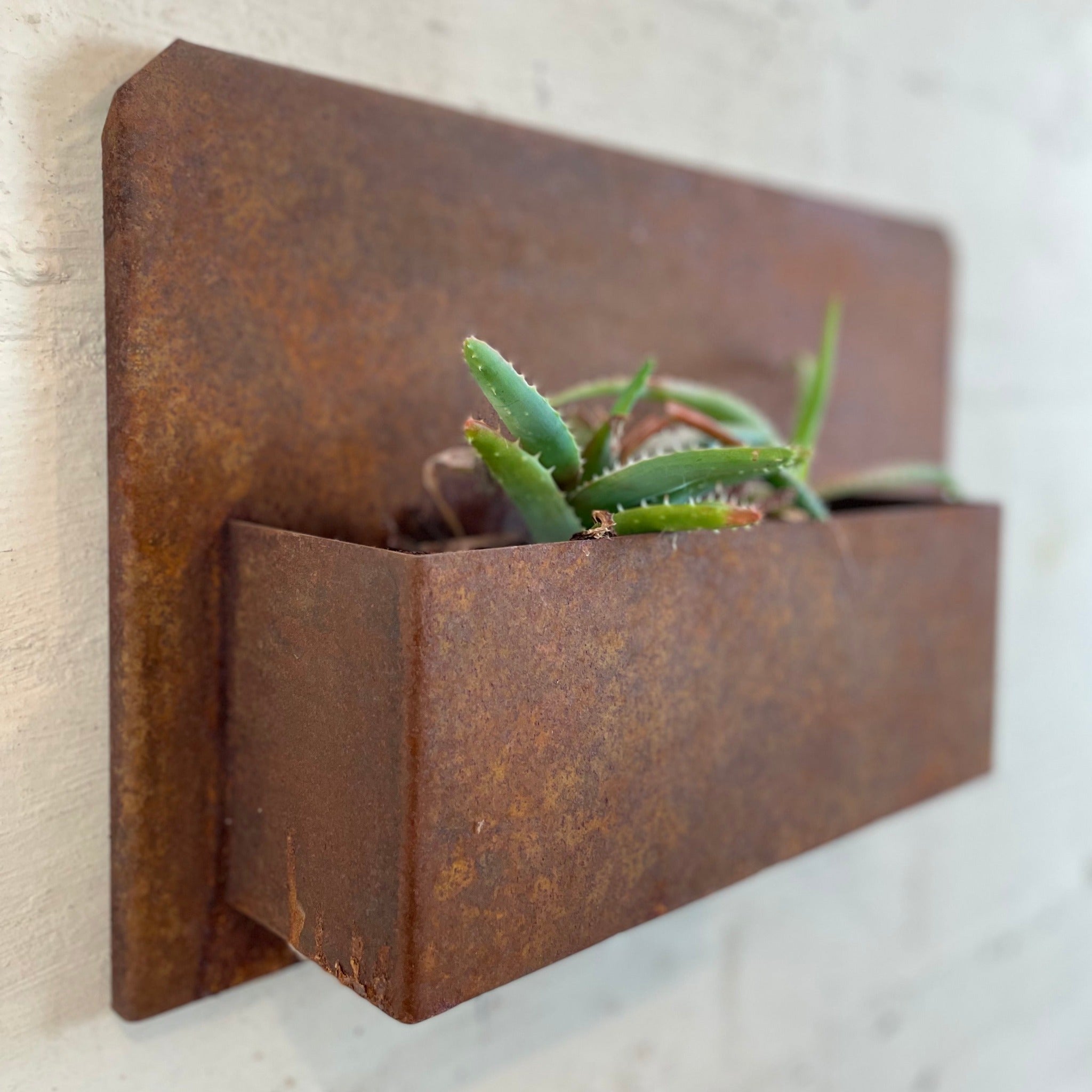 Rusty metal planter box for cactus, succulents and other plants. 