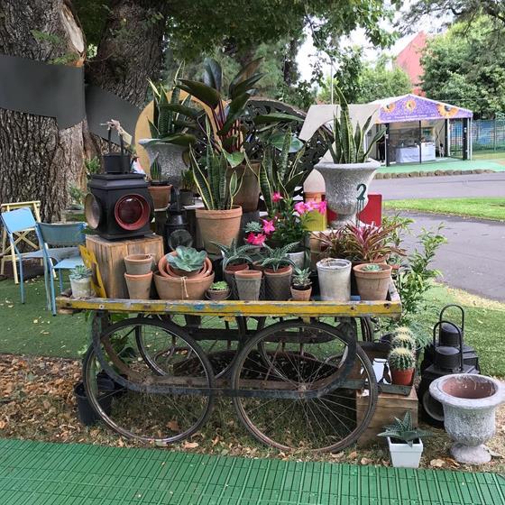 The winner of the Flower & Garden Show competition is........