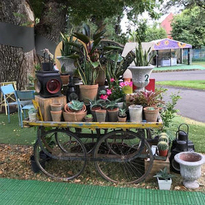 The winner of the Flower & Garden Show competition is........