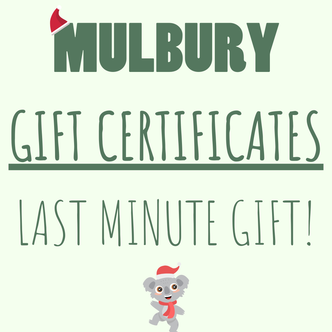 LAST MINUTE GIFT IDEAS, GIFT CERTIFICATES, LAST MINUTE GIFT CARDS AUSTRALIA, Sustainable gift certificates, Sustainable gift ideas, Eco friendly gift ideas for Christmas, recycled gift ideas Australia, 