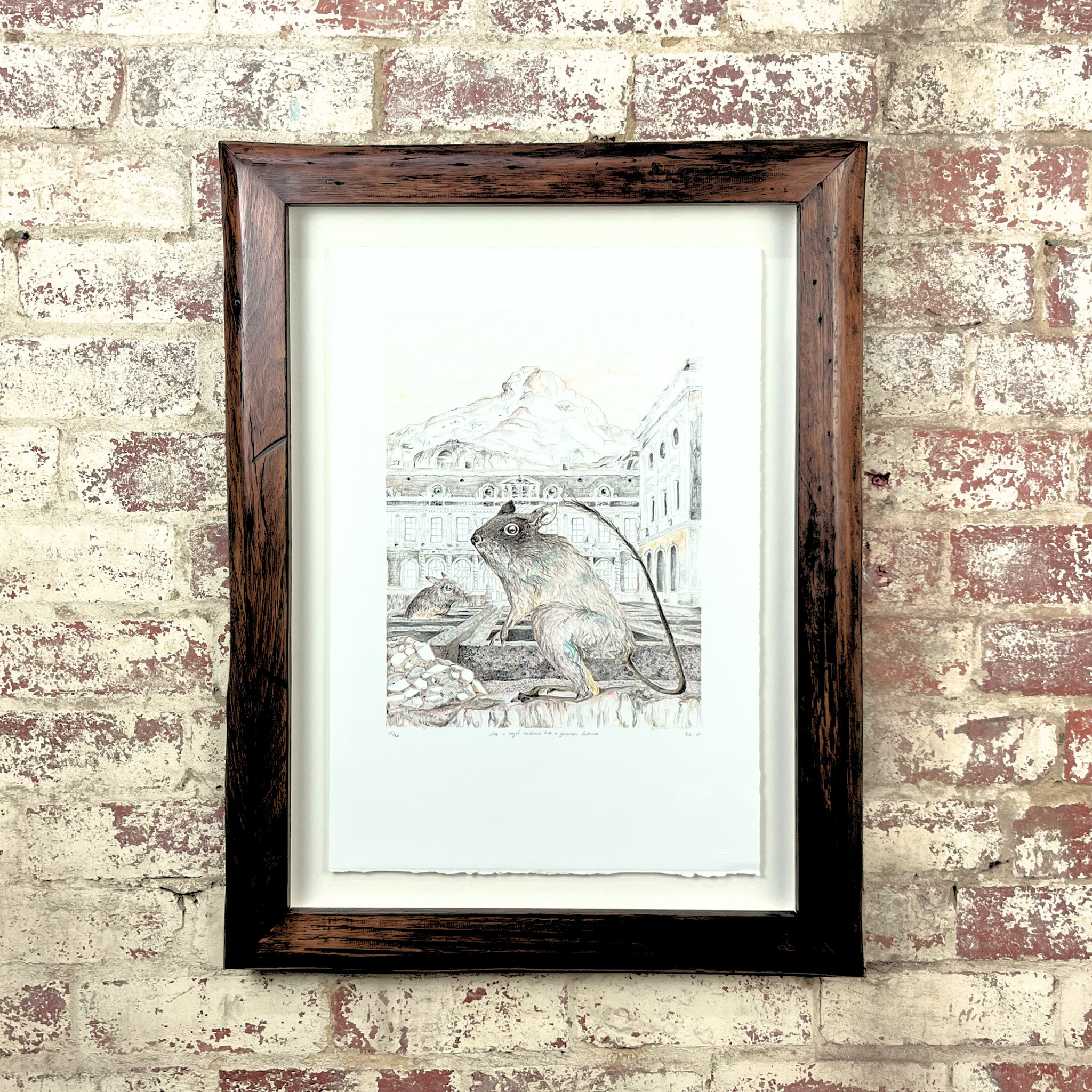 Shadow Box Frames