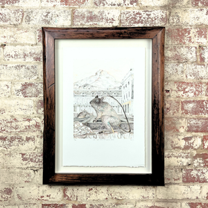 Shadow Box Frames