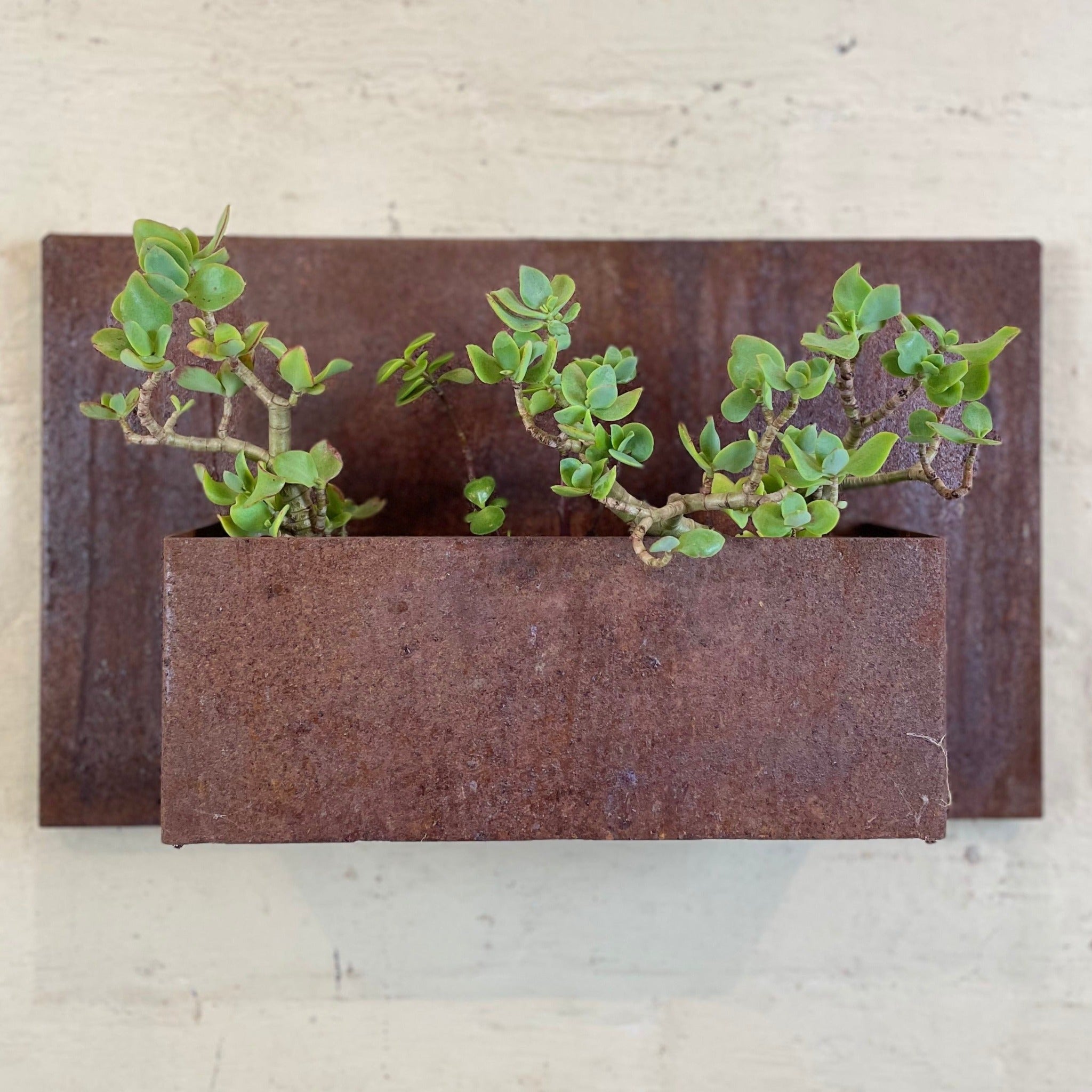 Rusted metal planter box, Custom made, Australia
