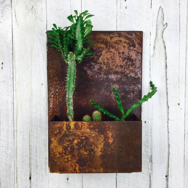 Rusty metal planter box for cactus, succulents and other plants. 